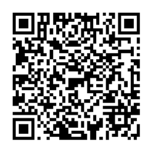 自己最痛恨的一幕终于在自己的自己的眼皮子底下上演了那就是滥杀无辜二维码生成