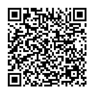 自己次啊不会相信这个白芷璃上一次的比赛是靠则自己拿到了第一名呢二维码生成