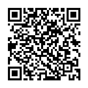 自己现在似乎又看到了一条可以往上快速攀登的一条捷径二维码生成