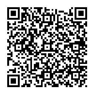 自己用上修真的御剑诀加上自己仙器级别的飞剑竟然才堪堪的划破了对方的一点皮二维码生成