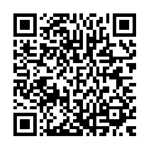 自己用来交换的宝物和功法肯定要比他们师门的秘法好上几倍二维码生成