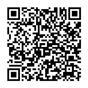 自己的八徒弟去看了个热闹便顺便把杨戬的妹妹给收了当徒弟带回来二维码生成