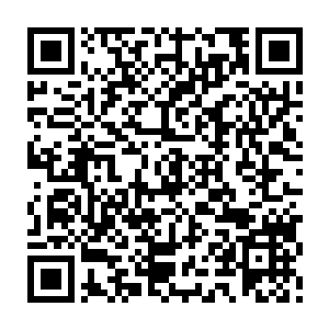 自己的攻击仅仅只是在天血傀儡的身上留下了一个个拇指大小的小洞而已二维码生成