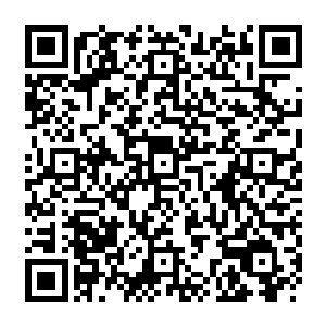 自己的肉身也在这恐怖的神龙精血的冲击下不断的一遍又一遍的重复着毁灭和新生二维码生成