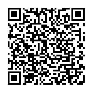 自己站在岩缝口仔细的看了一下这一家三口伸手在在最小的那一条身上挠了挠二维码生成