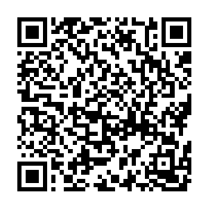 自己第一次参加同学聚会的时候蒋雯带过一个男朋友去参加聚会的二维码生成