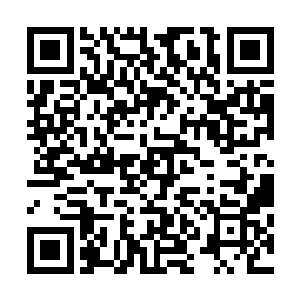 自己肯定会下意识的就把这个统筹协调规划的任务交给池枫二维码生成