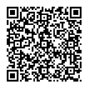 自己表弟同时迎娶两位豪门千金这本身就已经是一件可以称得上是不可思议的奇迹了二维码生成