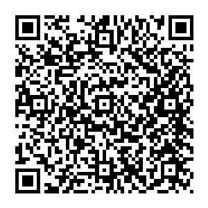 自己身上那早就无法蔽体快成碎布条的粗布衣服正乱糟糟的一团的挂在一颗很高的枯树的一根还算粗壮的树枝上二维码生成