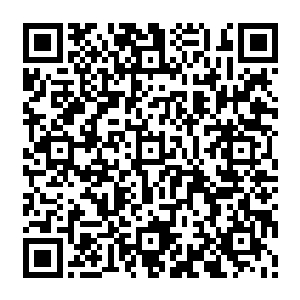 自治区的人民政府所在地的市和经国务院批准的较大的市的人民代表大会常务委员会二维码生成