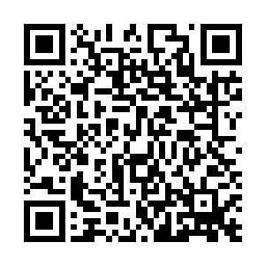 自然不能再让你用那种伤害自身还没有多大效果的训练法二维码生成