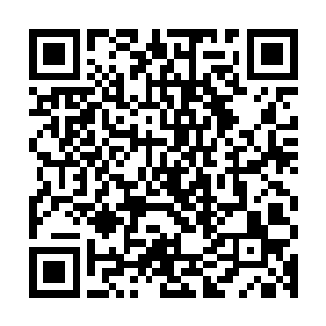 自然也就可以理解为什么洪家的子弟为了家族会议前几名的名额二维码生成