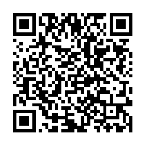 自然也就无法找寻出最正确的那一条路了……不过呢二维码生成