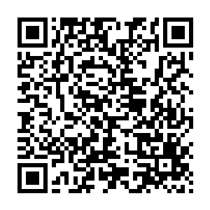 自然也是认为金辰界界主此番言语有保全夏云杰性命的心意在里面二维码生成