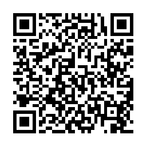 自然也更加不会引起小树林中的某些存在的注意力的……二维码生成