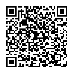 自然便是他在红叶峡谷地下洞府水池里得到的那株藤藻莲的藤茎炼制成的二维码生成