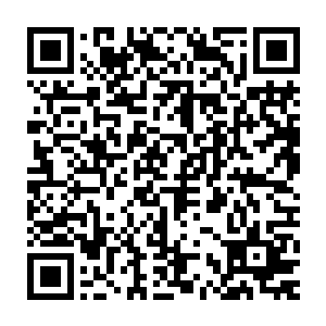 自然导致了同为玩家的七杀无从下手……他要是赶在这会儿去攻击花间二维码生成