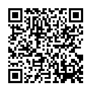 自然是他私下里与官/方达成了某种对他而言利大于弊的协议二维码生成