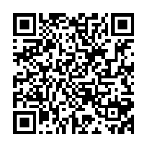 自然是非常乐意客人过去赌钱的……不管客人是赢了还是输了二维码生成