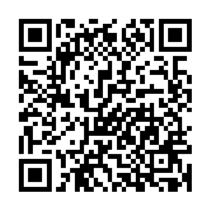 自然没有给足他时间让他脑海到行动的都完成身份上转换跟蜕变二维码生成