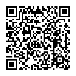 自然能分辨出那高大少年的确是之前他们曾在办公室里讨论过的王世子二维码生成