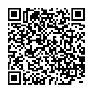 自认为整个东域在阵法一道能比得上他的万象境宗师不超过五指之数二维码生成