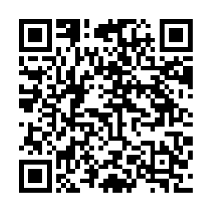 自认为是龙战挚友的龙野开始检讨自己刚才不负责任的行为二维码生成