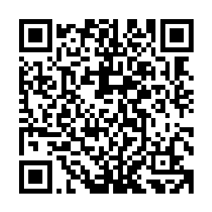 自认在寺里误上贼船才跟了师父学佛法的小和尚就更不确定了二维码生成