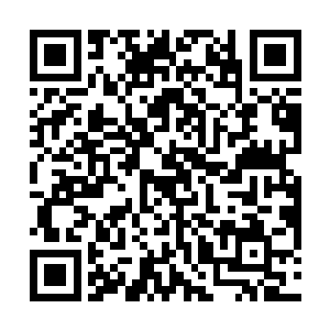 自身之前堆积的厚实的底子也愣是把他们又推上去了一层~二维码生成