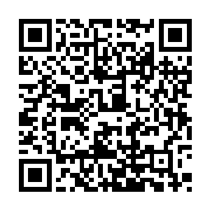 自顾自地继续从我给它的光团里汲取修界的常识二维码生成