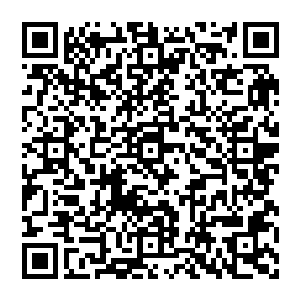 至于为什么冷鸠韫和几名在灵墟之地名气极大修士会被困在灵墟城外却没人知当然也没人敢去打听这件事二维码生成