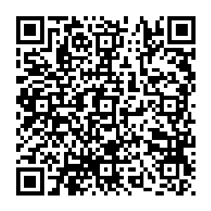 至于主任那边这件事情跟主任还真的就没有任何的关系更何况丁主任被挑衅到了如此的地步二维码生成
