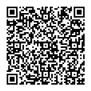 至于五十个小时以后……无论我们是否如你所说的――已成功淘汰了其他八人――届时我们的合作关系都将终止二维码生成