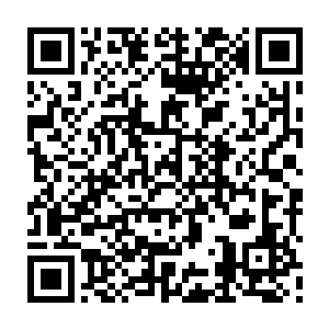 至于刚开始叫嚣着这里是属于丹宗和符宗的刘劲松和华羽就更没有动静了二维码生成