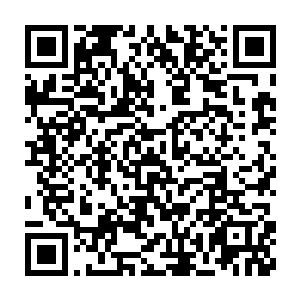 至于原主的爷爷奶奶…他们其实一直都比较反对将家里的钱塞给医院的二维码生成