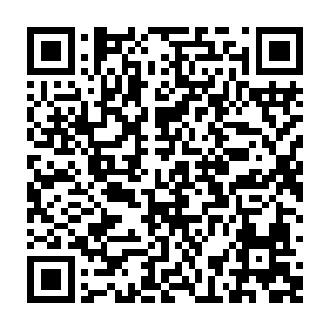 至于埃及人付出了什么代价才让教廷和黑暗议会愿意把如此耻辱的事情说出来二维码生成