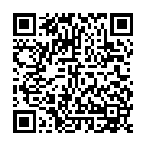 至于大山宗师为什么会知道控尸一族会在秦宇的大师宴上出现二维码生成