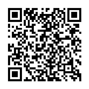 至于它到底是不是鸡蛋连张均也无法确定因为佛眼看不透蛋壳二维码生成