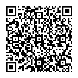 至于巴罗莎……如果有幸能生出一个半人半精灵的话……最多继承一个男爵爵位罢了二维码生成