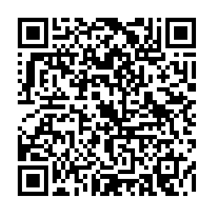 至于此刻还困在原始森林之中的小龙还有云不凡看着那最后的三二一倒计时二维码生成