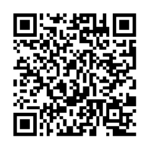 至于武器官则开始一项项的核查舰上武器的损坏程度二维码生成