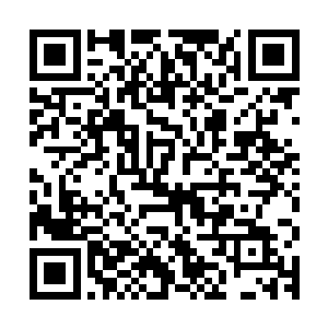 至于领头师兄小心翼翼提及了一句血妖姬们一行属性不对的问题二维码生成