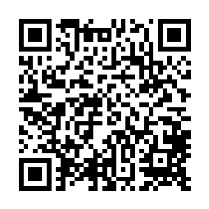 至尊境强者屈指可数的……而能够扛得住秦方一击而不倒的二维码生成