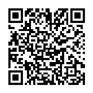 至少也要能够确定那三大鬼王的战斗方案和所在位置二维码生成