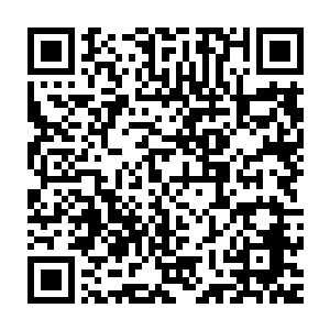 至少会把自己的内脏给炸成焦炭――甚至都已经做好了必死的准备――二维码生成