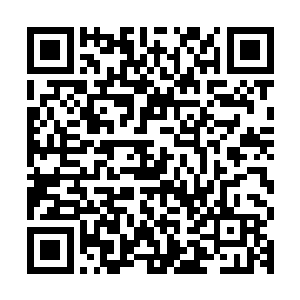 至少到你现在的四阶武尊的水平位置貌似是保持这样的增长速度二维码生成