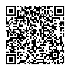 至少可以使得神王草在他们手中不至于成为几乎是毫无半点作用的废品罢了二维码生成