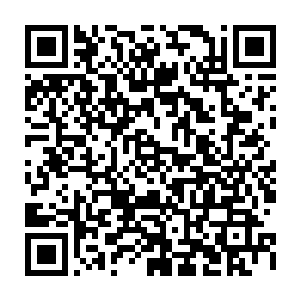 至少在陆为民印象中几年前自己看见她第一面时和现在的这副模样完全没有改变二维码生成