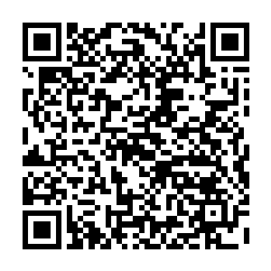 至少我想不通怎么让拜尔国内的大贵族和封地贵族放弃抵抗乖乖化作亡灵二维码生成