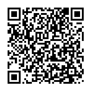 至少李裕在节目上的每首歌以及一言一行乃至每次投票都是有剧本的二维码生成